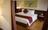 Туры в отель Freesia Hotel