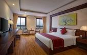 Туры в отель Freesia Hotel