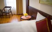 Туры в отель Freesia Hotel