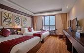 Туры в отель Freesia Hotel