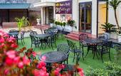 Туры в отель Freesia Hotel