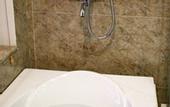 Туры в отель Freesia Hotel