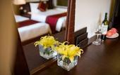 Туры в отель Freesia Hotel