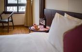 Туры в отель Freesia Hotel