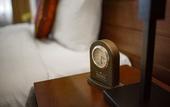 Туры в отель Freesia Hotel