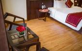 Туры в отель Freesia Hotel