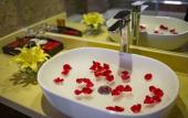 Туры в отель Freesia Hotel