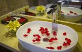 Туры в отель Freesia Hotel