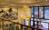 Туры в отель Freesia Hotel