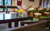 Туры в отель Freesia Hotel