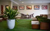 Туры в отель Freesia Hotel