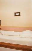 Туры в отель Vayalen Boutique Hotel