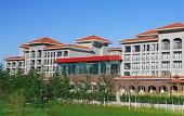 Туры в отель Blue Horizon International Hotel
