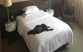 Туры в отель Kaoyu Hotel (Chongqing Guanyinqiao Pedestrian Street)