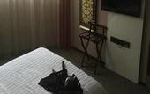 Туры в отель Kaoyu Hotel (Chongqing Guanyinqiao Pedestrian Street)