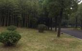 Туры в отель Brigh Radiance Hotel