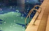 Туры в отель Brigh Radiance Hotel