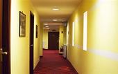 Туры в отель Hotel Alpi Resort