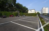 Туры в отель Zhangjiajie International Hotel