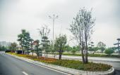 Туры в отель Wyndham Garden Wuhan West