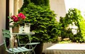 Туры в отель 5 Vintage Guest House