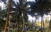 Туры в отель Koh Kood Neverland Beach Resort