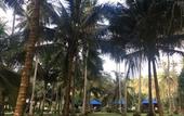 Туры в отель Koh Kood Neverland Beach Resort