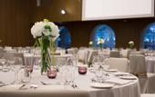 Туры в отель Skopje Marriott Hotel