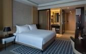 Туры в отель Skopje Marriott Hotel