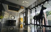 Туры в отель Paco Hotel (Guangzhou Baiyun Airport Liantang Metro Station)