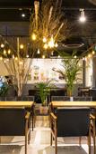 Туры в отель Casaloma Hotel