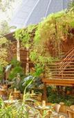 Туры в отель Tropical Islands Resort