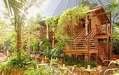 Туры в отель Tropical Islands Resort
