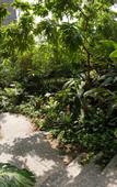 Туры в отель Tropical Islands Resort