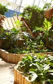 Туры в отель Tropical Islands Resort