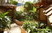 Туры в отель Tropical Islands Resort