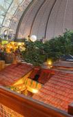 Туры в отель Tropical Islands Resort