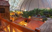 Туры в отель Tropical Islands Resort