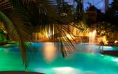 Туры в отель Tropical Islands Resort