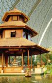 Туры в отель Tropical Islands Resort