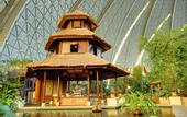 Туры в отель Tropical Islands Resort