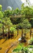 Туры в отель Tropical Islands Resort
