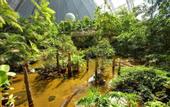 Туры в отель Tropical Islands Resort