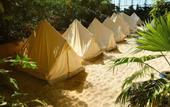 Туры в отель Tropical Islands Resort