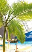 Туры в отель Tropical Islands Resort