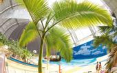 Туры в отель Tropical Islands Resort