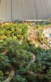 Туры в отель Tropical Islands Resort