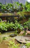 Туры в отель Tropical Islands Resort