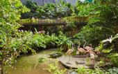 Туры в отель Tropical Islands Resort