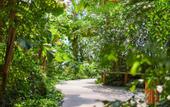 Туры в отель Tropical Islands Resort